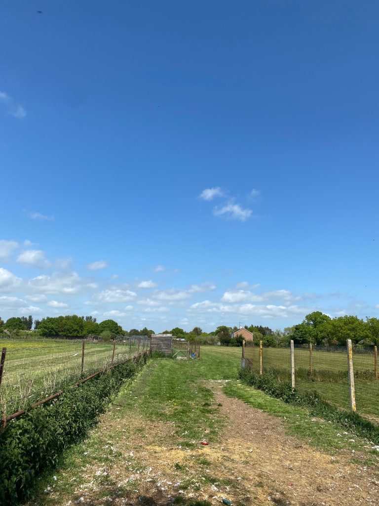 The outside fields are available for recreational use